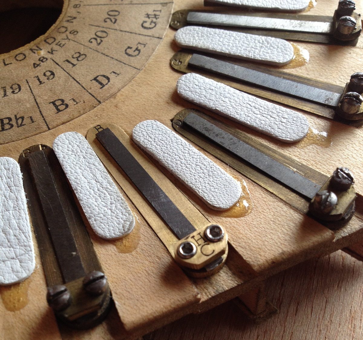 Reed Prototypes Part 2 Tongue Holden Concertinas