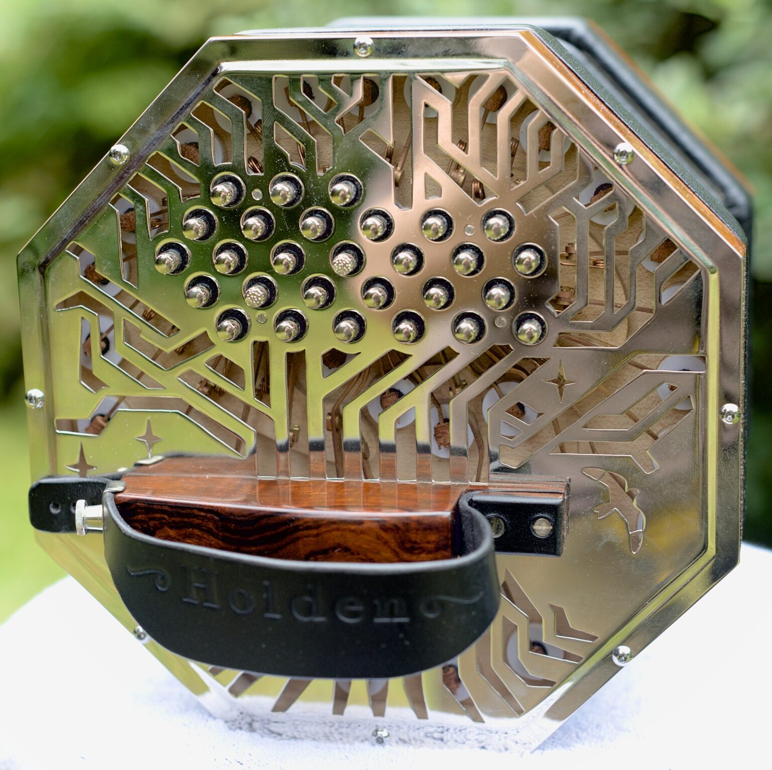 No. 9 A 62 Button Hayden Duet Holden Concertinas